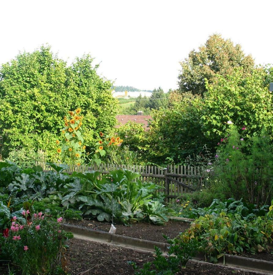 2-Zimmer-Ferienwohnung Gartenblick Rottweil Eksteriør billede